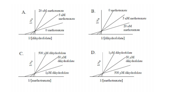 20 nM methotrexate A. 5 nM 5 nM methotrexate methotrexate 20 nM methotrexate 0 methotrexate /[dihydrofolate] /[dihydrofolate]