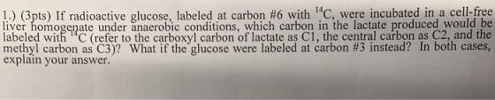 .) (3pts) If radioactive glucose labeled at carbon #6 with 14C, were incubated in a cell-free liver homogenate under anaerobi