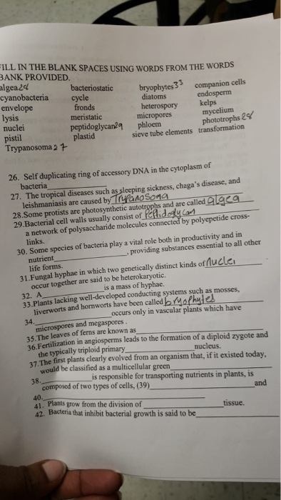 ILL IN THE BLANK SPACES USING WORDS FROM THE WORDS ANK PROVIDED lgea2 cyanobacteria cycle envelope lysis nuclei pistil Trypan