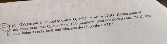 ) Oxygen gas is reduced to water: O2 +4H+4e2H20. If each gram of 20. 06 pt \ rluscle tissue consumes O2 at a rate of 12.0 μmo