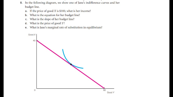 In the following diagram, we show one of Janes indifference curves and her budget line a. If the price of good X is $100, wh