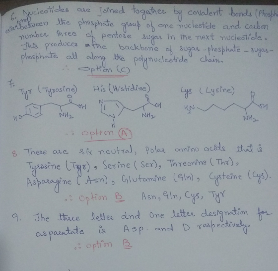 Nocleotieles oue Jatned togather by covalent bends (Phog oone lestiele and. cabon in the mext mucledtiale. た,XEeen the phosph