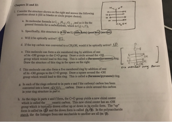 Chapters 21 and 22 1. Consider the structure shown on the right and answer the following questions about it (fill in blanks o