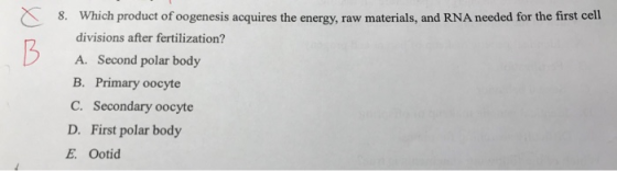 Which product of oogenesis acquires the energy, raw materials, and RNA needed for the first cell 8. divisions after fertiliza