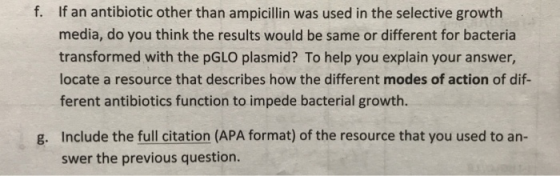 If an antibiotic other than ampicillin was used in the selective growth f. media, do you think the results would be same or d