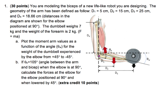1. (30 points) You are modeling the biceps of a new life-like robot you are designing. The geometry of the arm has been defin