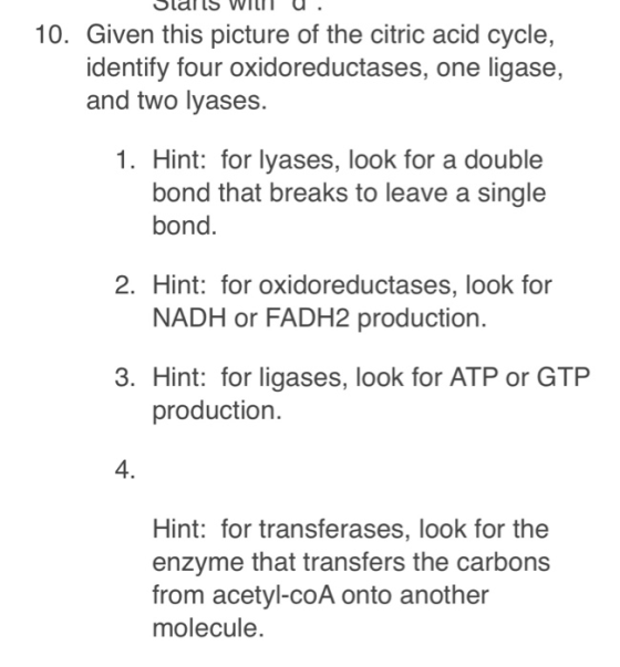 10. Given this picture of the citric acid cycle, identify four oxidoreductases, one ligase, and two lyases. 1. Hint: for lyas