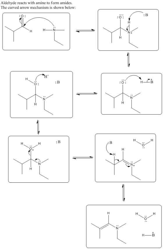 Aldehyde reacts with amine to form amides The curved arrow mechanism is shown below: : B : O HN : B O: : B H_B