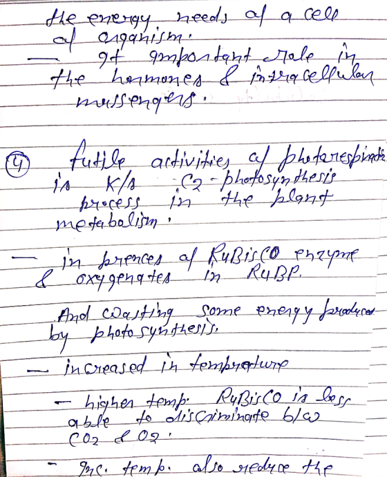 needj afacele 9phst ale_ he haaes fpgra celfpUlaq futibe artivihrey ca/ ostnegbint. t K C2-hhfosy thesie jmester bolijrn. InR
