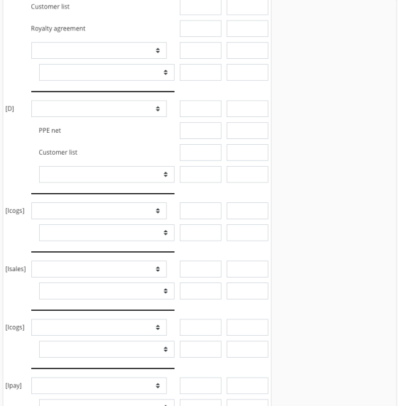 Customer list Royalty agreement PPE net Customer list [lcogs isales] [lcogs] [ipay]