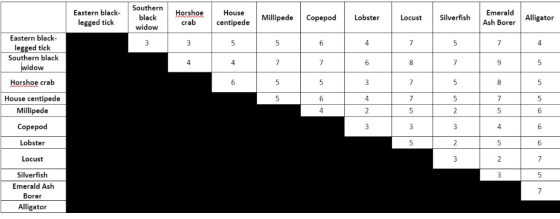 astern black Southern legged tick HouseMillipede CopepodLobster centipede LocustSilverfish Emerald Ash Borer Alligator crab w