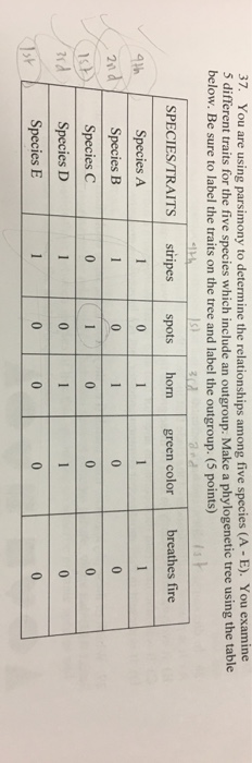 37. You are using parsimony to determine the relationships among five species (A - E). You examine 5 different traits for the