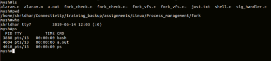 mysh #ls alaram.c fork_check.c fork_check.c fork_vfs.c fork_vfs.c just.txt shell.c sig_handler.c alaram.o a.out mysh#pwd |/ho