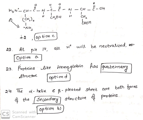 CH 32. At ph lV, aHwill be neutraized, as- Option gatobin has gatemavy 23. Protens ke Hemoqlobin has opti ση d heix B- pleate