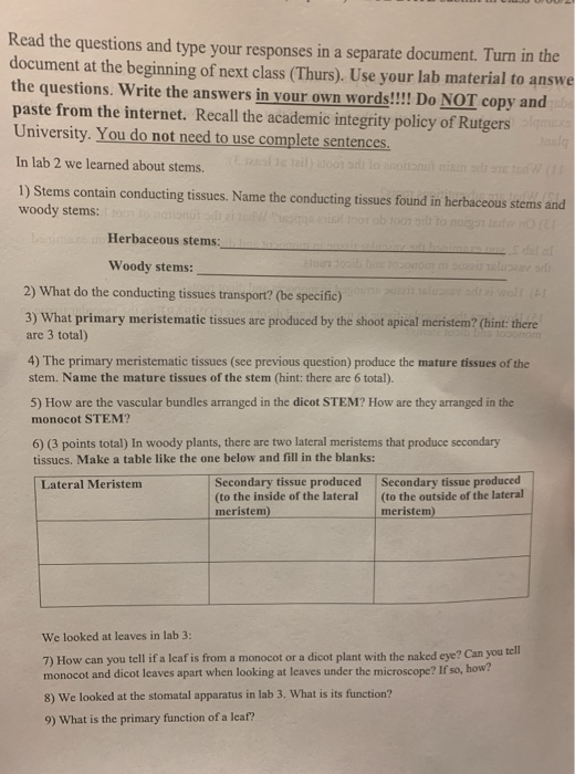 Read the questions and type your responses in a separate document. Turn in the document at the beginning of next class (Thurs