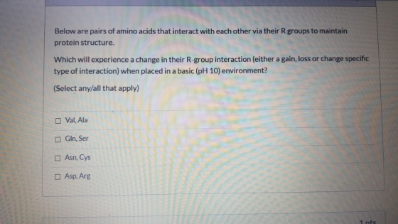 Below are pairs of amino acids that interact with each other via their R groups to maintain protein structure. Which will exp