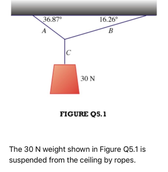 16.26° 36.870 B A C 30 N FIGURE Q5.1 The 30 N weight shown in Figure Q5.1 is suspended from the ceiling by ropes