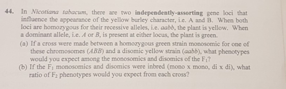 44. In Nicotiana tabacum, there are two independently-assorting gene loci that influence the appearance of the yellow burley