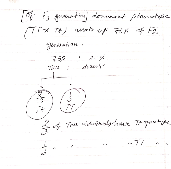gevuotiondomiant phenotpe TR 2mate vp 75% of F2 eneration desash Tau 3 7T Tau niduichaly have TtTutupe 77 /