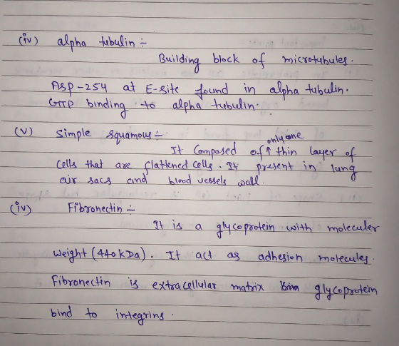 (iv) alpha tibulin Railding block of microtthules at E-site dound in Asp-2s4 alpha tululin binding t alpha tubultn simple qua
