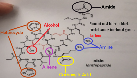 Amide Name of next letter to black circled Amide functional group Carbon Alcohol Heterocycle HN H2)Amine OH HN NH HN nisin la