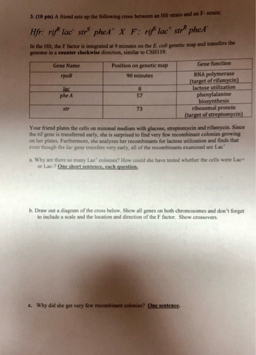 3. (10 pts) A friend sets up the following cross between an Hfr strain and an F- strain; Hfr: rif lac str pheA X F:rif lac st