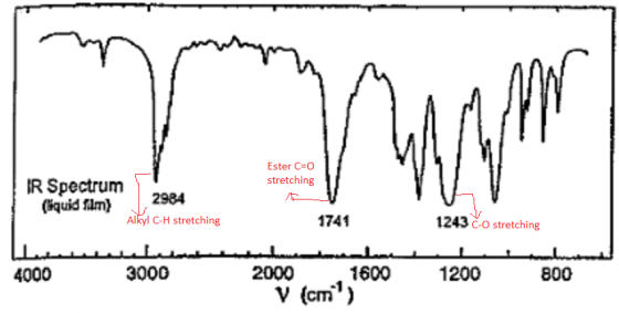 Ester C-O stretching IR Spectrum2984 1741 1243 č-o stretching Alkyl C-H stretching 2000 1600 1200 800 4000 3000 V (cmi)