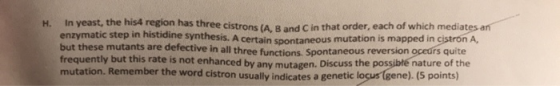 H. In yeast, enzymatic step in histidine synthesis. A certain spontaneous mut but these mutants are defective frequently but