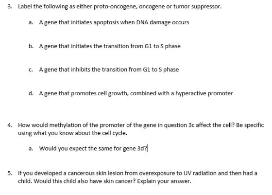 Label the following as either proto-oncogene, oncogene or tumor suppressor 3. A gene that initiates apoptosis when DNA damage