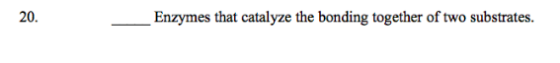 Enzymes that catalyze the bonding together of two substrates. 20.