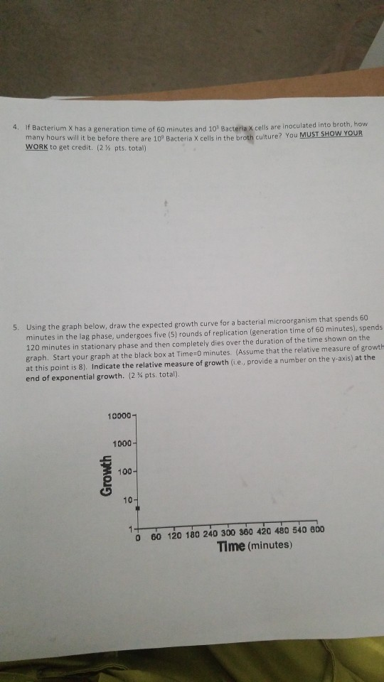 4. If Bacterium X has a generation time of 60 minutes and 10 Bacteria X cells are inoculated into broth, how many hours will