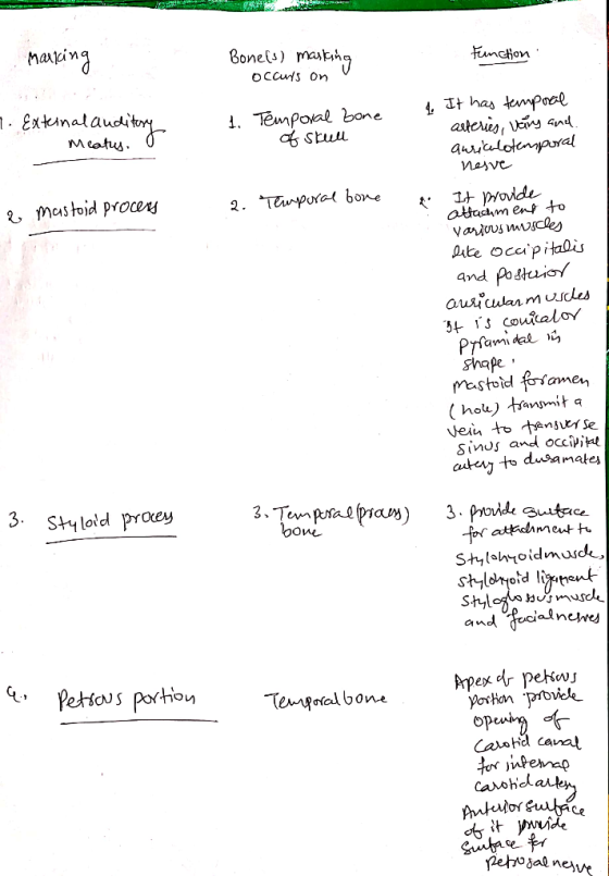 haing Bonets) mag Fction OcCus on 1. Extinata 1. Tempoal bone aStuu astcies and auutulotenyaoral Meatus Masve Iovde attachm e