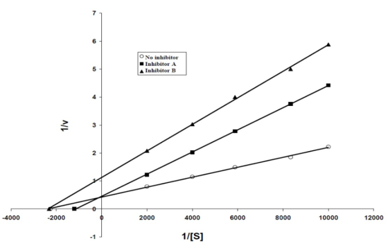 7 6 O No inhibitor Inhibitor A 5 ▲ Inhibitor B 4 3 2 12000 6000 -4000 -2000 2000 4000 8000 10000 1/[S] -1