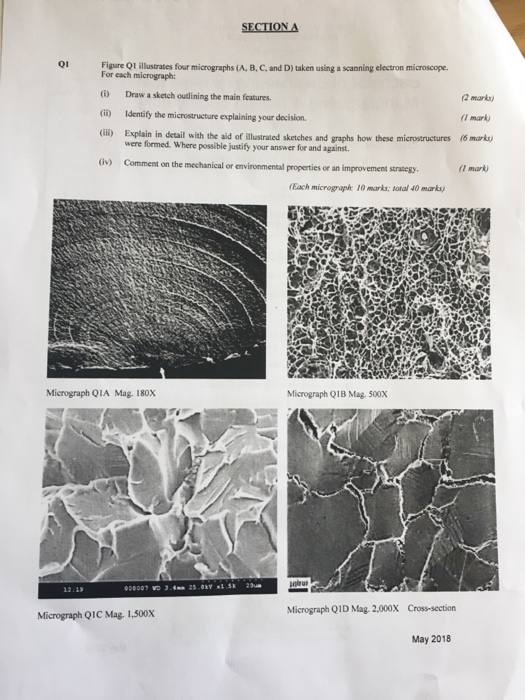 SECTION Δ 01 Figure Ql illustrates four micrographs (A, B, C, and D) taken using a scanning electron microscope. For each mic