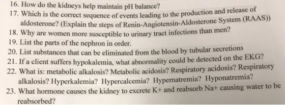 16. How do the kidneys help maintain pH balance? 17. Which is the correct sequence of events leading to the production and re