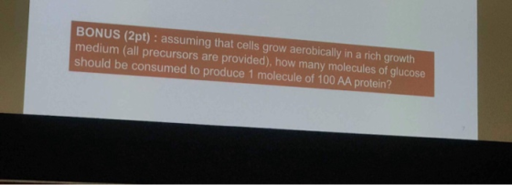 BONUS (2pt): assuming that cells grow aerobically in a rich growth medium (all precursors are provided), how many molecules o