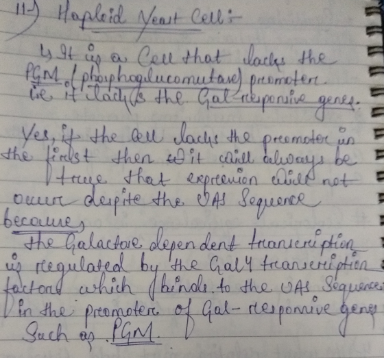1Hapleid Neat Cell y 9t og as Cal that dadks fGM phopropulucomutae) pasmoeteri te itlaays the Gatenpenie gens Yes ife the bet