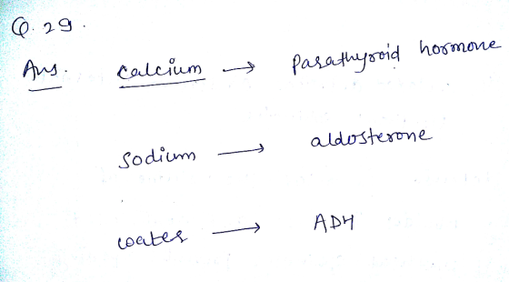 2 9 Sodium )