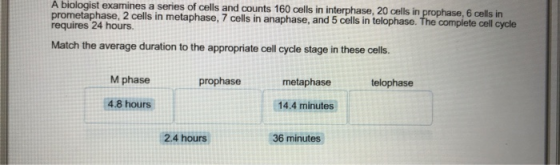 A biologist examines a series of cells and counts 160 cells in interphase, 20 cells in prophase, 6 cells in prometaphase, 2 c