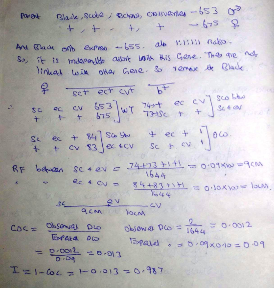 1 sc ec cv 653 1644 LE 4 CM OcM -ご0,0012 o 어
