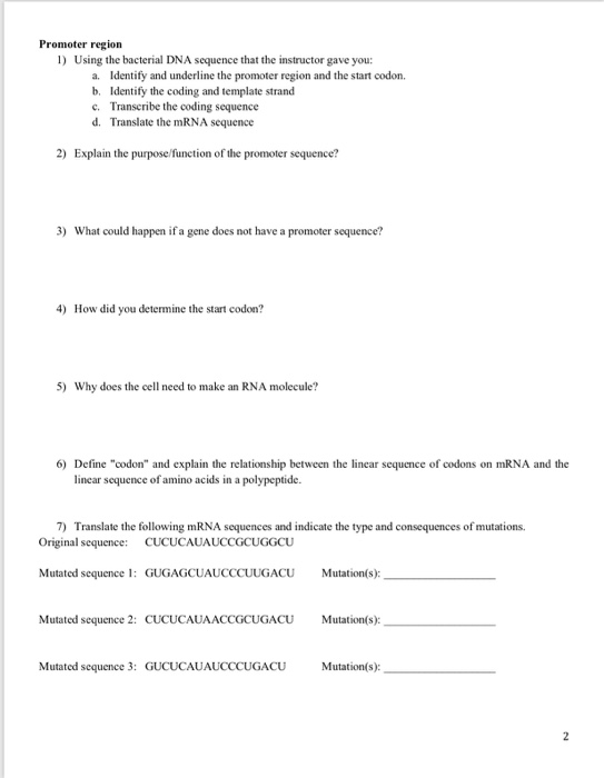 Promoter region 1) Using the bacterial DNA sequence that the instructor gave you: a. Identify and underline the promoter regi