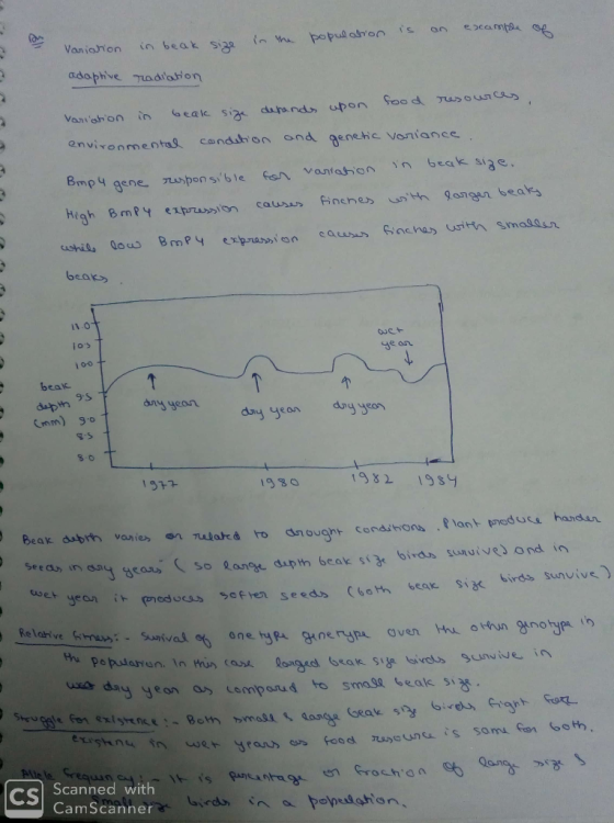 environmenta conduhON ord 8enetic Voriance beak> 11.0 ae as 100 个 beak 9.S any gean day yeon dy ye Cmm) 9. S-o gso_ 1982 1989