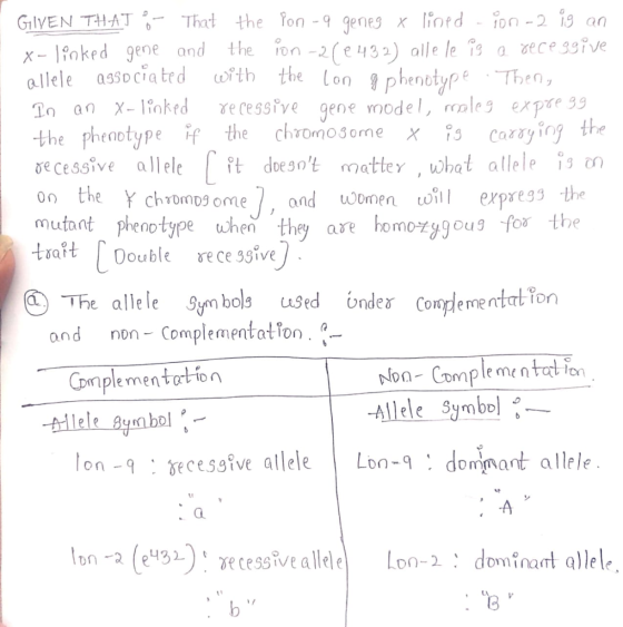 -2 (e 43) alle le 1s a ece ssive phenotypeTe X-1nked gene and the on lll associated fth the In an x-linked γe cessive gene mo