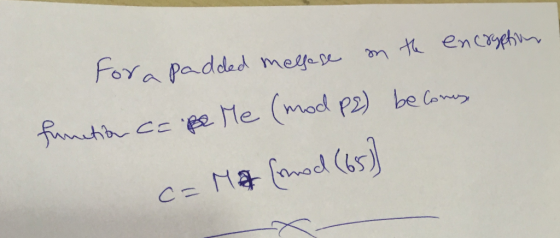 Fora padded mef