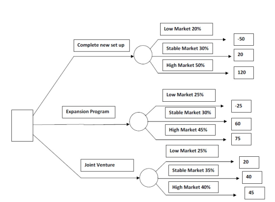 Low Market 20% -50 Complete new set up Stable Market 30% 20 High Market 50% 120 Low Market 25% -25 Expansion Program Stable M