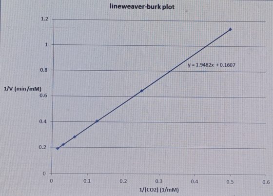 lineweaver-burk plot 1.2 1 y=1.9482x +0.1607 0.8 1/V (min/mM) 0.6 0.4 0.2 0 0.1 0.2 0.3 0.4 0.5 0.6 1/ICO2] (1/mM)