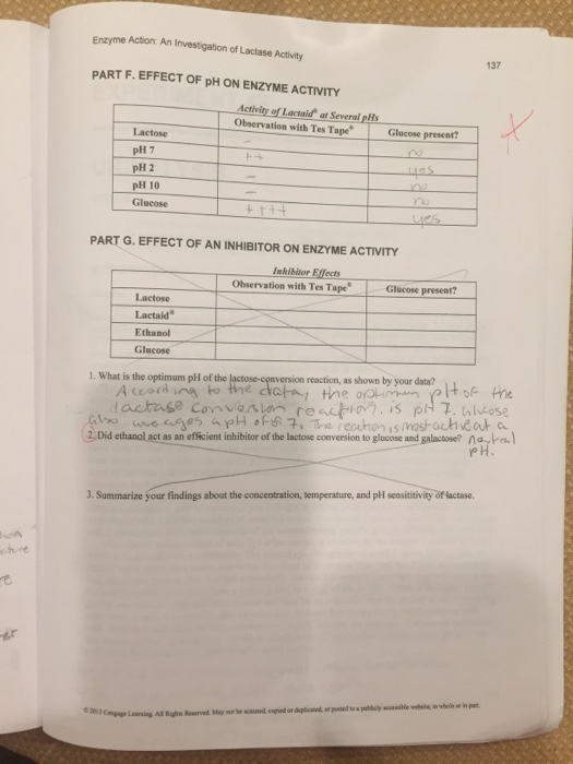 Enzyme Action An Investigation of Lactase Activity 137 PART F. EFFECT OF pH ON ENZYME ACTIVITY Activity of Lactair at Several