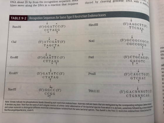 DNA about 25 bp from the recognition sequence. Bot types move along the DNA in a reaction that requires duced by cleaving gen