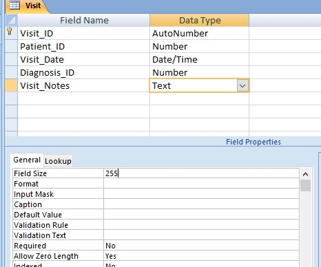 Visit Field Name Data Type Visit_ID AutoNumber Number Patient_ID Date/Time Visit_Date Number Diagnosis_ID Visit_Notes Text Fi