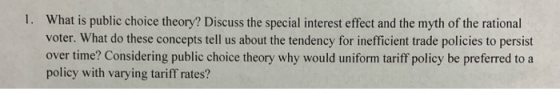 What is public choice theory? Discuss the special interest effect and the myth of the rational voter. What do these concepts